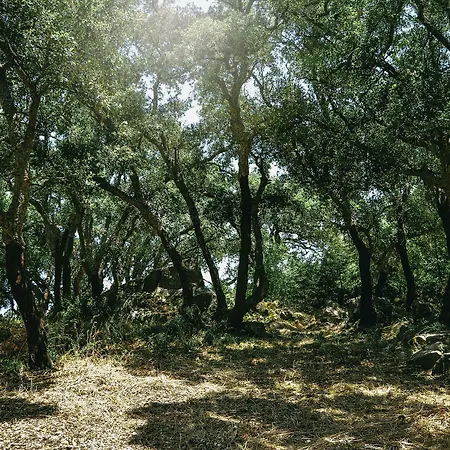 Vallegrande Nature By Geocharme